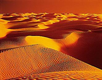 CDPR确认《巫师4》希里的配音演员也换了